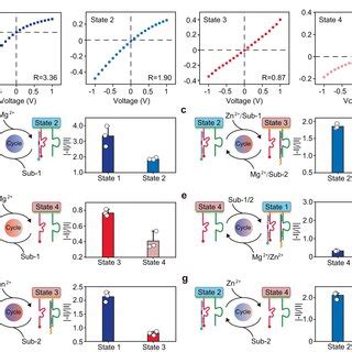 metal box for ion channels with multiple conductance states|Rectifying artificial nanochannels with multiple interconvertible .